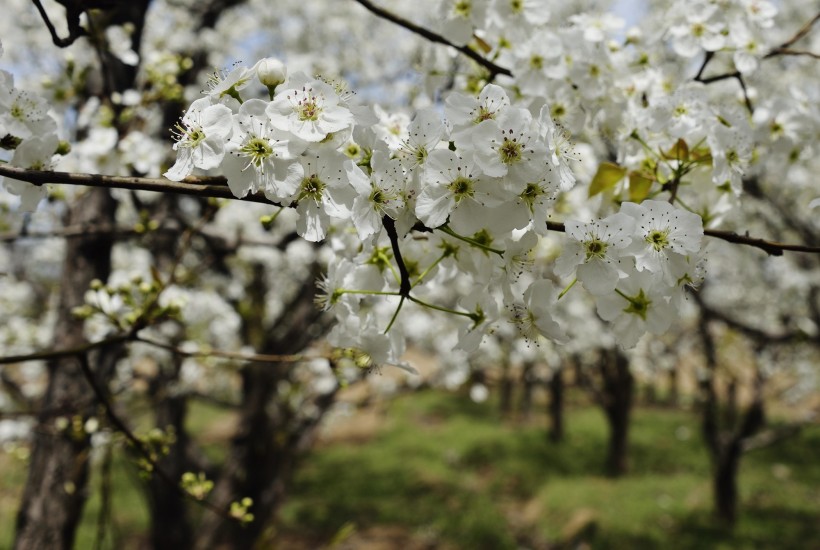 双鱼座|未来半个月，将会遇到自己的意中人，收获甜蜜爱情的4大星座！
