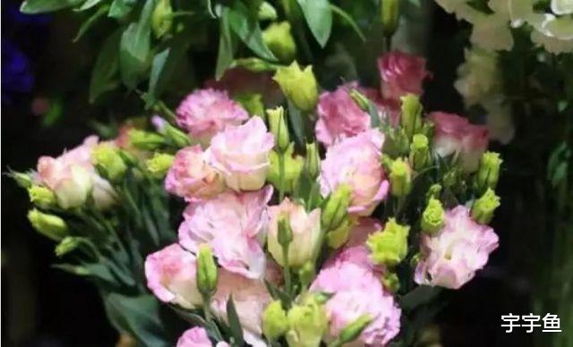 旧爱|9月开始吉星辅助,横财入账,美梦有望实现的四大属相