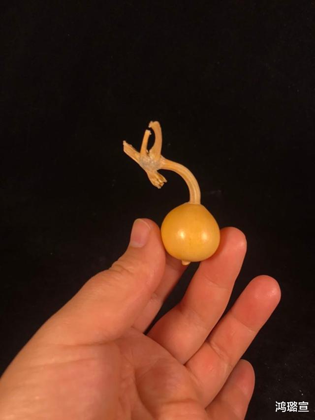 |文玩葫芦“草里金”盘玩并不困难？因为你没注意这点才这么觉得！