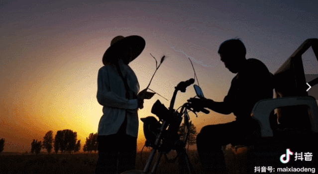 狐狸|河南李子柒火了？连央视都点赞！