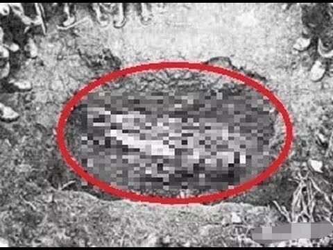 日本|日本龙猫案：真实而残忍的狭山事件