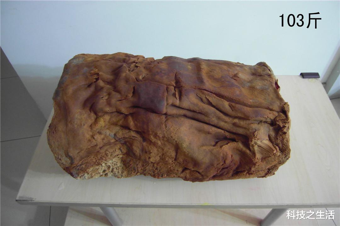 秦始皇|秦始皇毕生都在寻找的东西，却被一个男子捡到了，永生是真的吗？