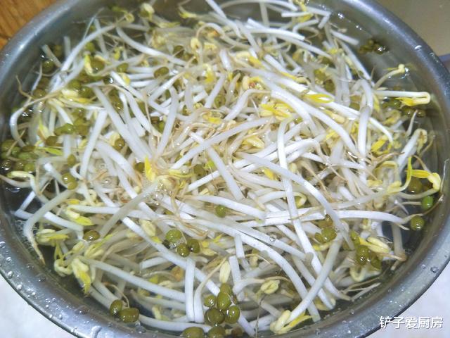 韭菜|胖人该多吃此菜，低脂低热量，一盘不到5元钱，口感酸爽有滋味