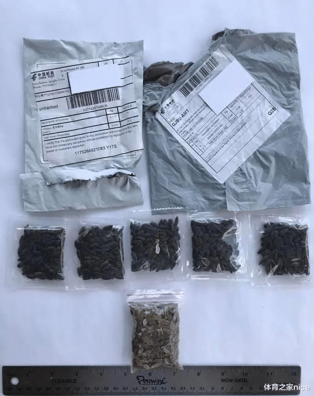 美国|中美联合调查“来自中国的神秘种子”，有人已经种出了番茄和瓜？