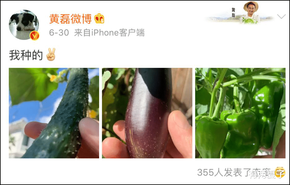 「南极」中国人种菜的征途是星辰大海，给我一块地，还你一个菜园