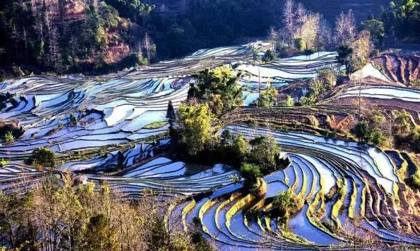 元阳■中国10大最美梯田、不去是你一生的遗憾呀