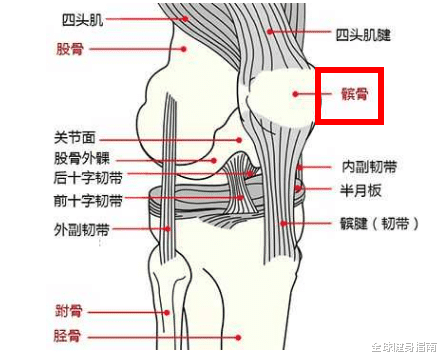 深蹲|像张天爱这样练臀，会有什么后果？