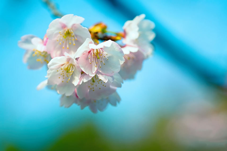 旧爱|独具韵味，让人一见倾心的星座女，相处起来很舒服