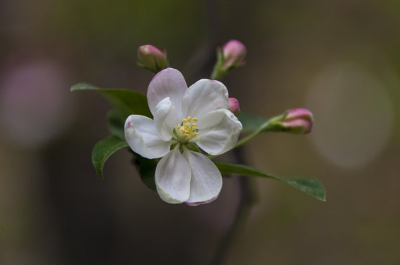 星座男|7月下旬运势爆棚，财运亨通，4属相意气风发，好运连连