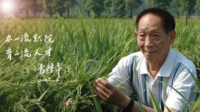 #华为#美国突然翻脸!台积电力挺,华为要动真格的了