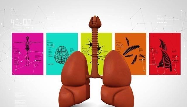 尼古丁|尼古丁的“劲敌”已揭晓，用来泡水喝，排出烟毒，给肺“加把劲”