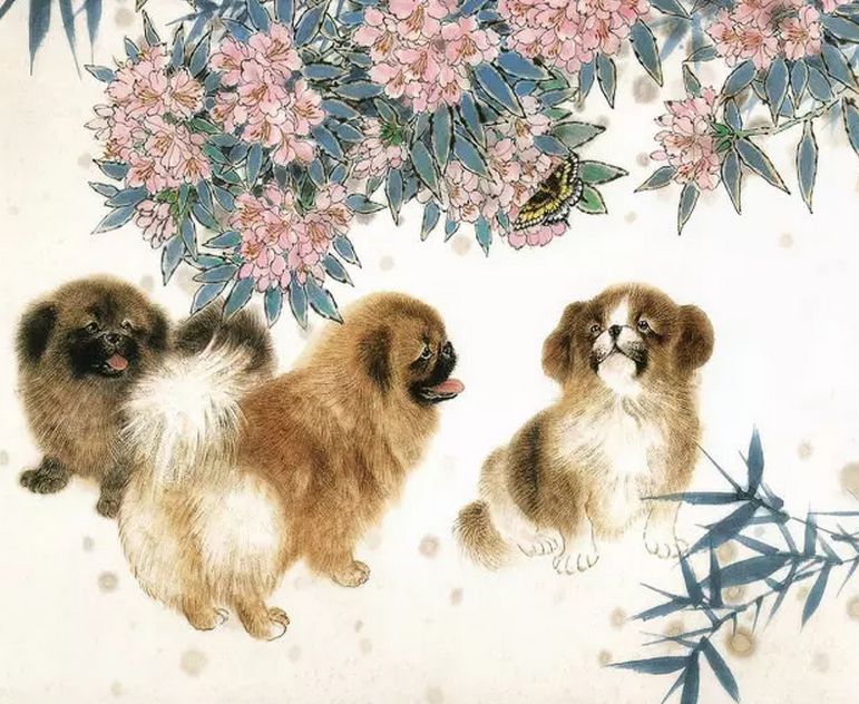 #属狗#生肖狗，迎来“翻天覆地”大逆袭，赶紧瞅一眼