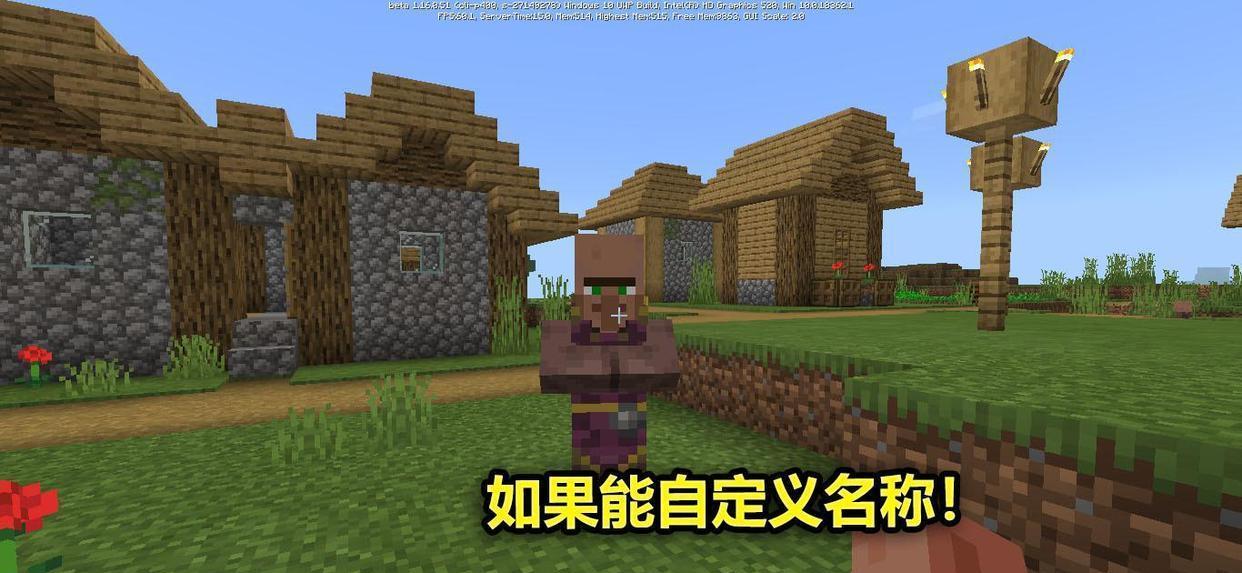 「我的世界」我的世界:如果能自定义生物的名称,你最想给哪个生物起名?