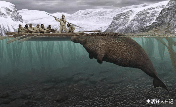 #基因#它把人类当好朋友，发现到灭绝仅27年，这种海中巨兽经历了什么？