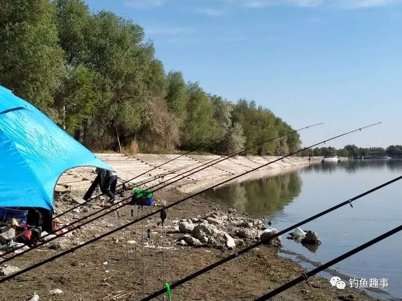 「」温度升高鱼难钓？看了它，不爆护都难！