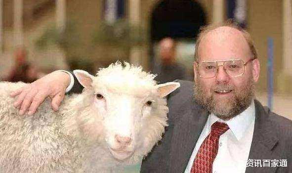 「」当年的第一只成功的克隆羊“多莉”，后来怎么样了？看完后出一身冷汗