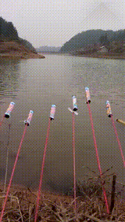 小姐姐|“姓张的还有比张三丰更出名的吗?”哈哈哈哈哈网友神评赢了!