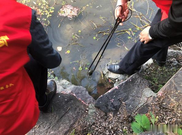 靖边：浙江多地已经出现！父亲给儿子捞鱼虾，后续令人头皮发麻