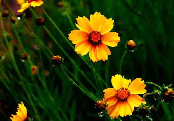 属鼠|在9月份，4属相财运飙升，横财大发，事业顺利，鸿运挡不住