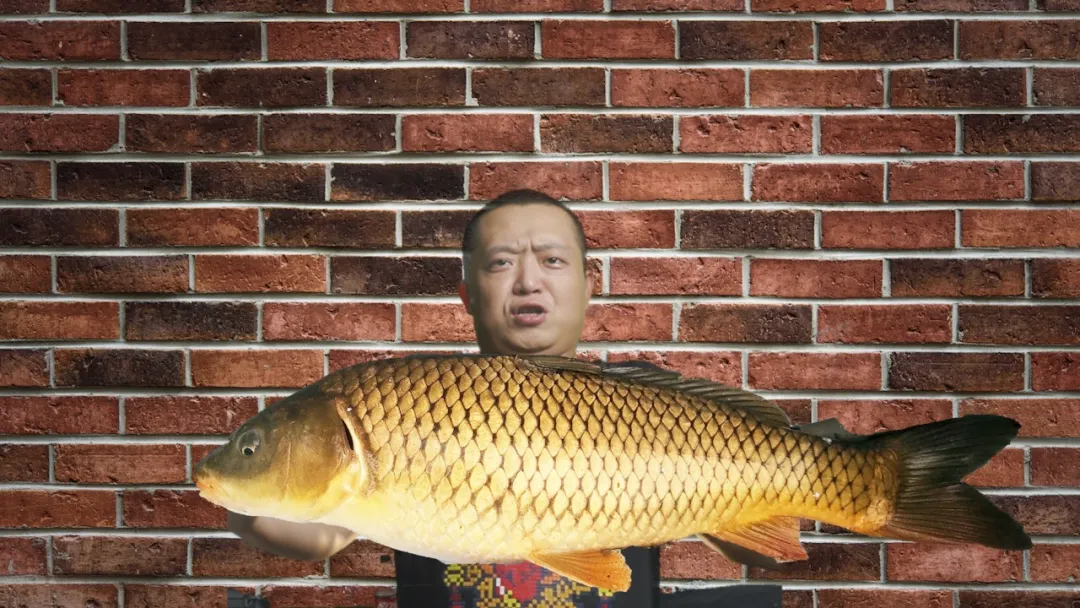 |微微一笑一夜画了20多张图给大家讲双铅调漂,一分钟就看懂了