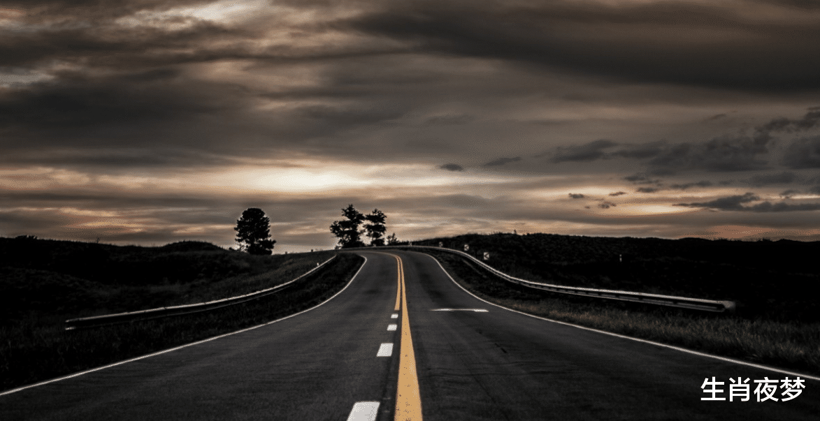 生肖|11月，前世相见，今生重逢，浮生若梦，前任回访，再度甜蜜相爱