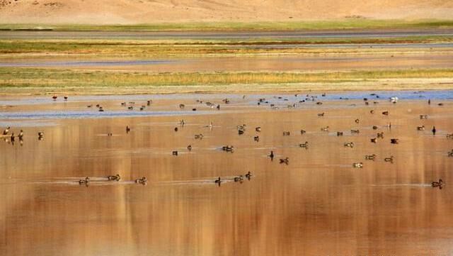 #班公湖#中印边境班公湖的神奇现象：我国这边水草丰美，印度那边寸草难生。