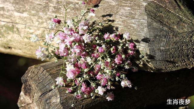 生肖|9月，天赐良机事业顺，4生肖月老牵线得姻缘，情场商场皆得意