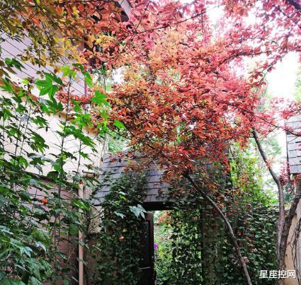 |哪些月份出生的人,多年以来打下良好基础,年底前有望买房买车