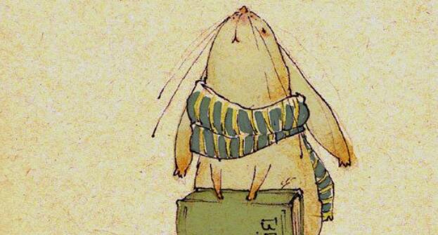 创业|你是怎么找到创业的方向的？