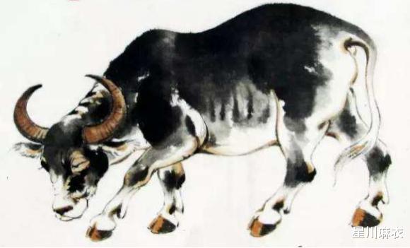 运势|明天开始，贵人指点的生肖，运势如虹，靠自己生财有道