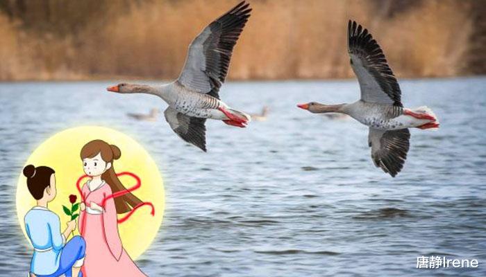 生肖|9月份期间，缘分与桃花为爱执着，收获天使般幸福爱情的四大生肖