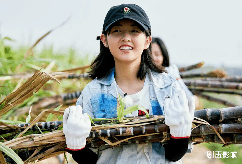 向往的生活|《向往的生活》因许光汉发声，好友团聚场面为何只剩“尬聊”？