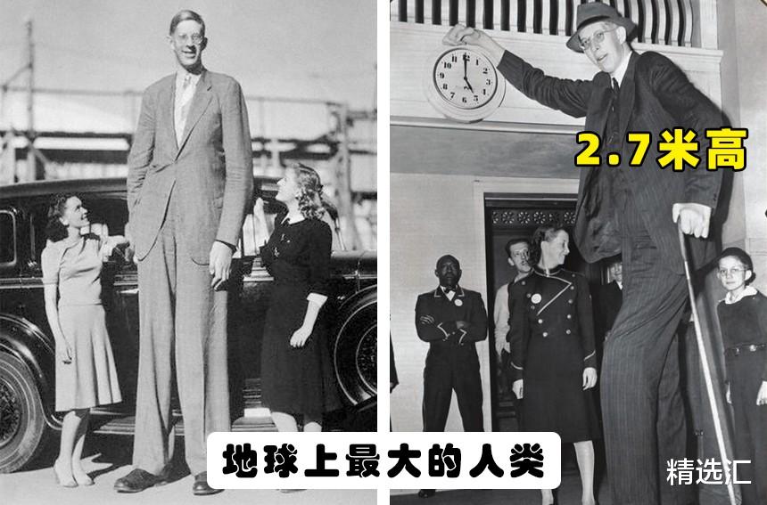 游泳池|“世界之最”：在这个世界上出现过的5个最为巨大的事物