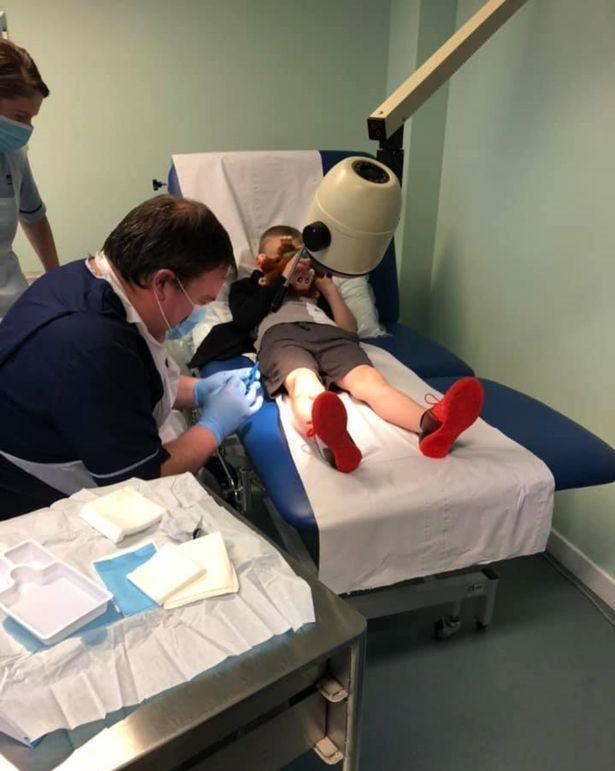 |比人高的巨型白花，却被称为“英国最可怕植物”，误碰会后悔一生