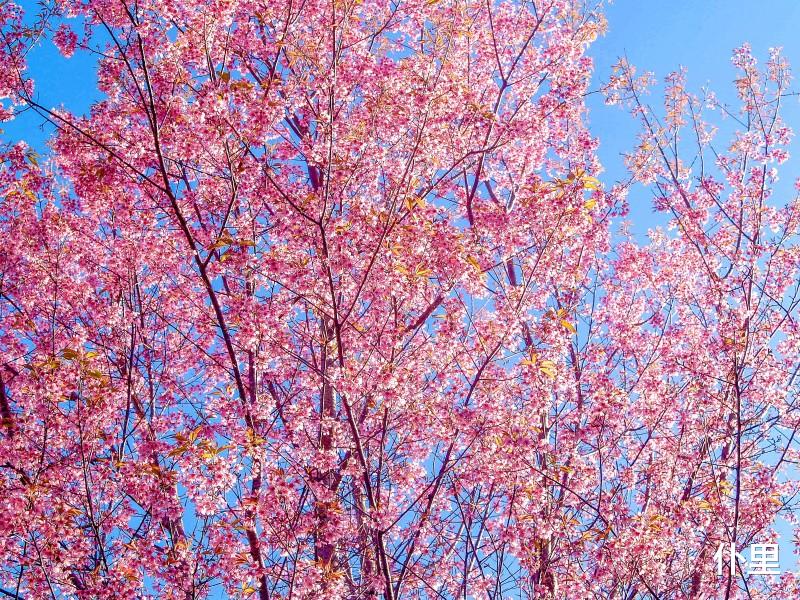 属龙@6月下旬,进财机遇多多的3生肖,好运连绵,赚钱有进展