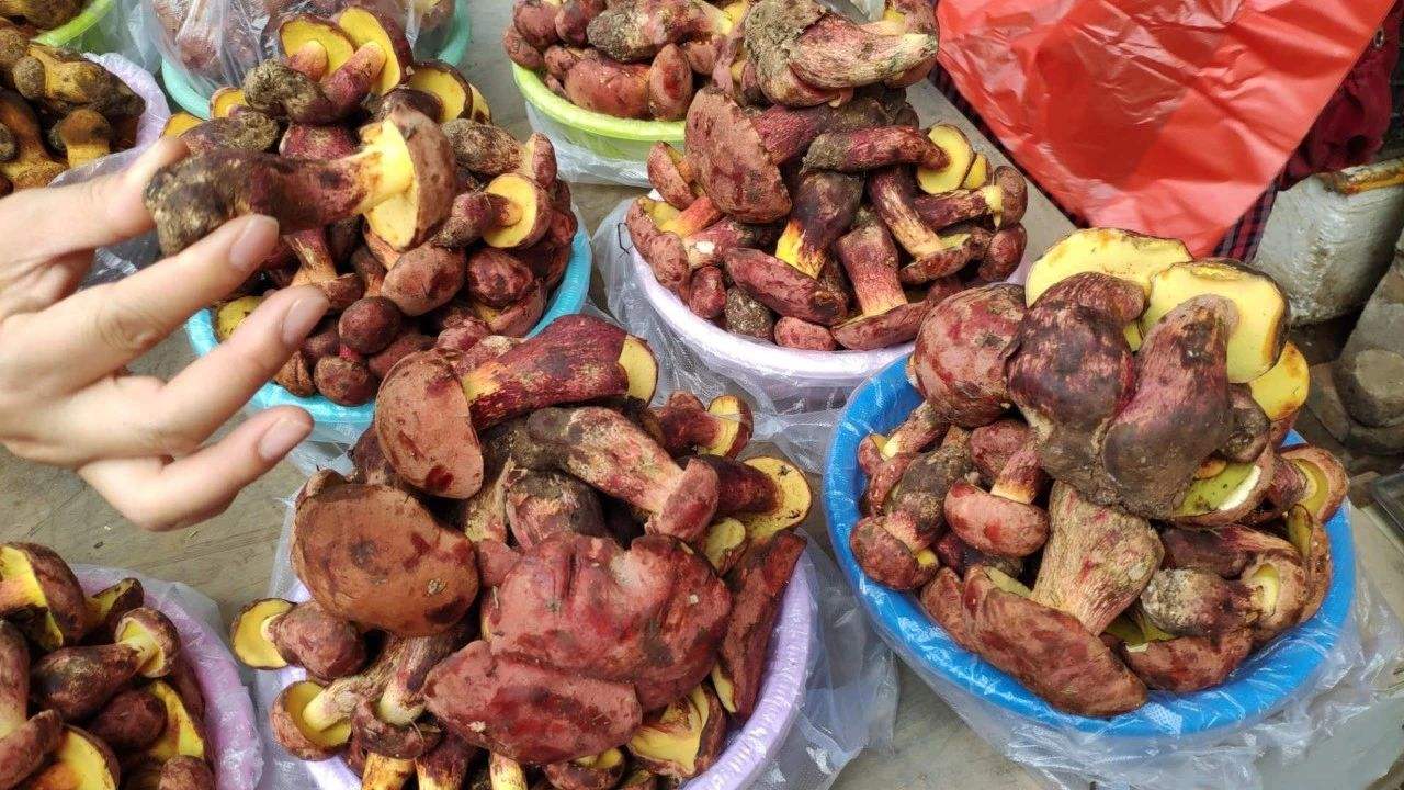 白菜|跌到白菜价，有人围堵路口疯抢，每天走货500吨，吃货太疯狂