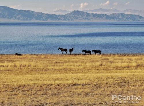 荣耀|掌握正确拍照姿势，荣耀30系列get秋日绝美大片