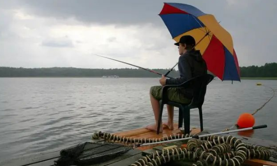 饵料|钓鱼停口不可怕,掌握正确方法,别人没口你上鱼