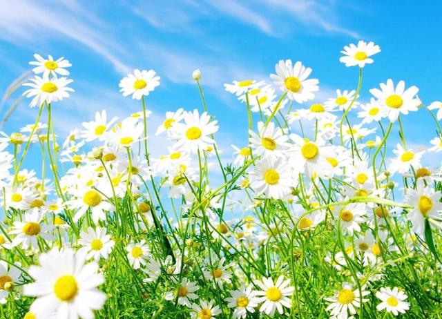 天蝎座|大器晚成的三大星座，有财运，但是来的比较晚