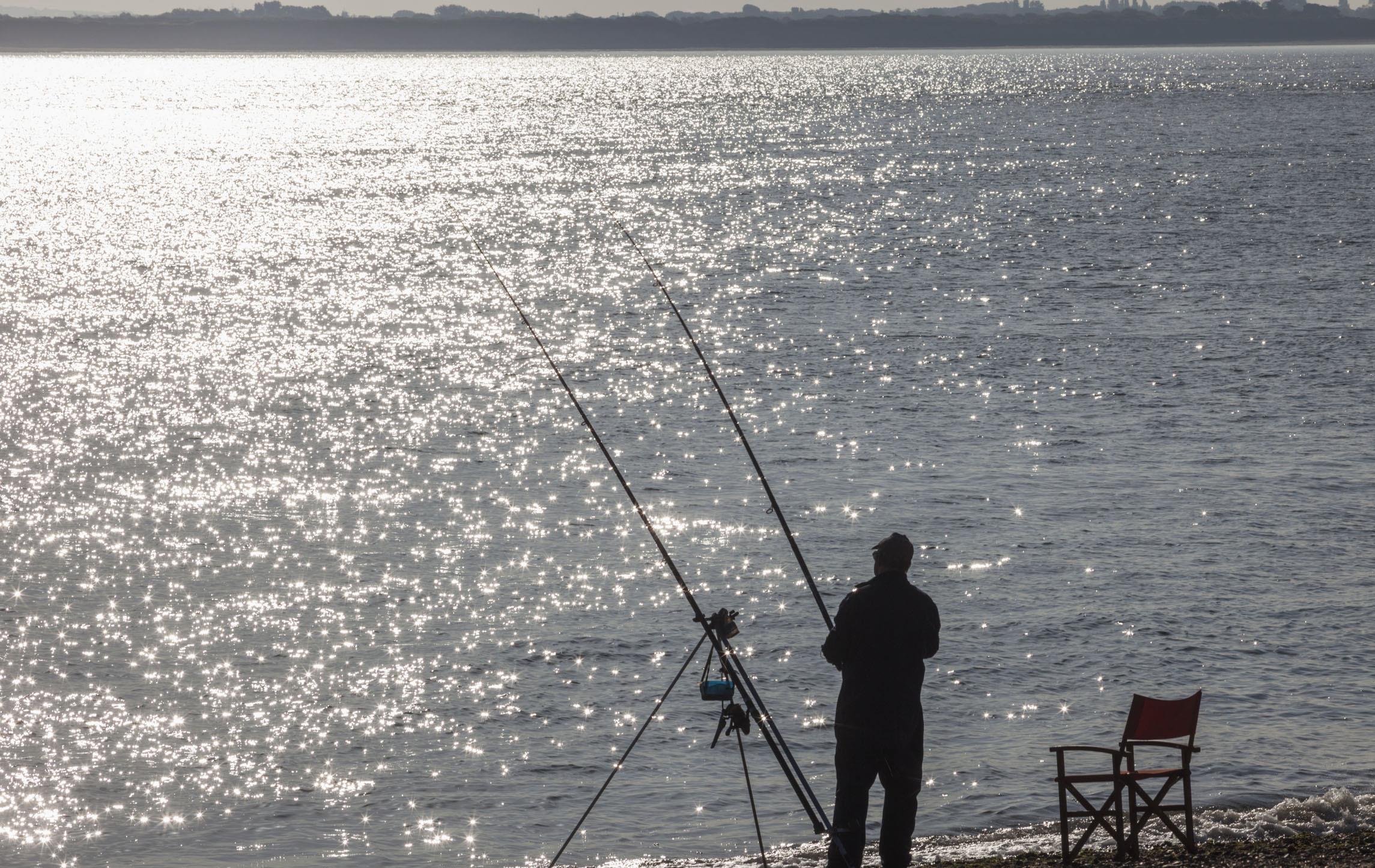『』春夏季鲤鱼怎么钓