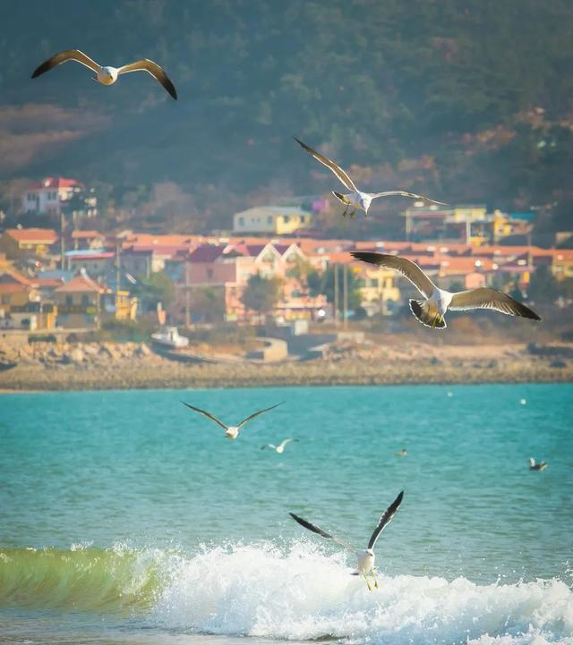 青海|这才是8月最值得去的13个地方，正适合三五好友说走就走