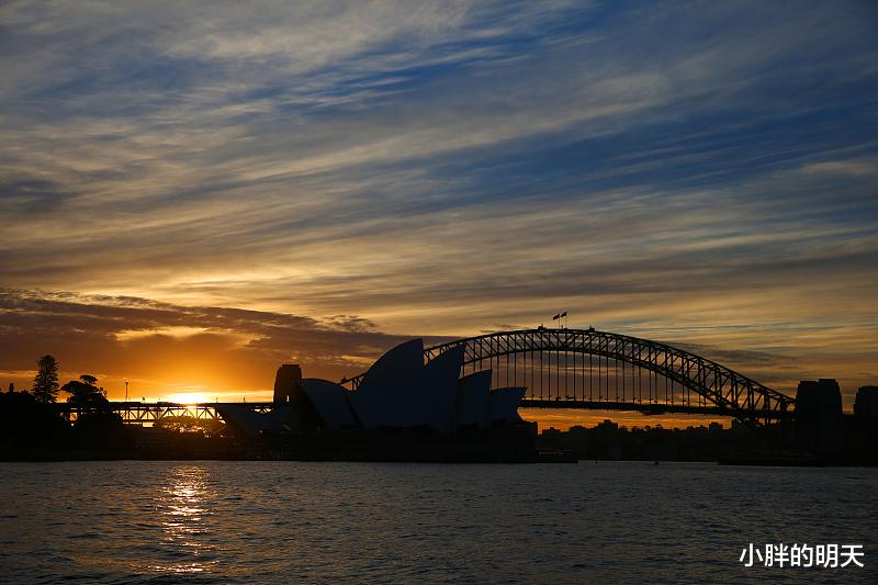 []职场规则：工作时，这3点照领导的安排做，就是不干活，别再傻了