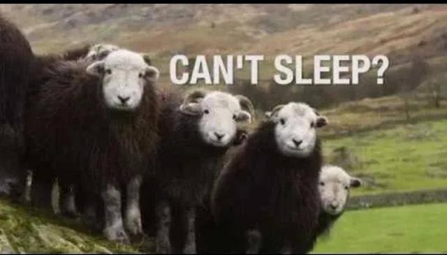 惠普|90后助眠大法，前两个太朋克，OPPO这招比较靠谱