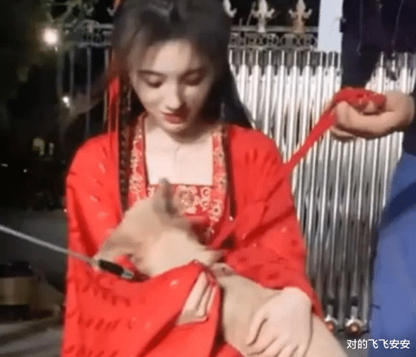 鞠婧祎|鞠婧祎被小狗咬住衣服，她下蹲对它“痛下狠手”，素养真是装不出来的