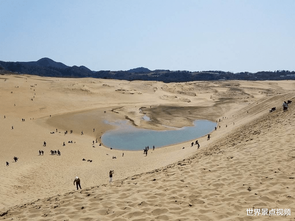 |世界上最“丢人”的沙漠，为了不让它消失，每年还要人工除草