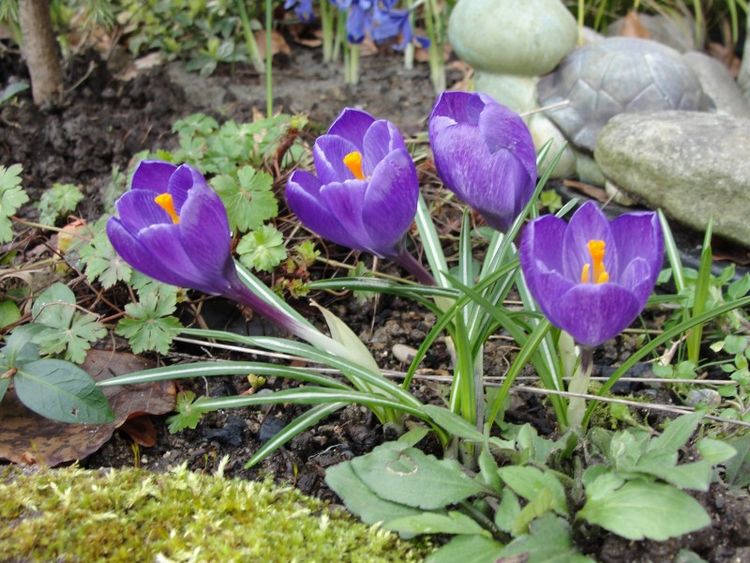 生肖■4月开始财神赐财,贵人赐运,一辈子衣食无忧的四大生肖