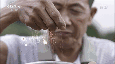 #顺德#世界美食之都——顺德