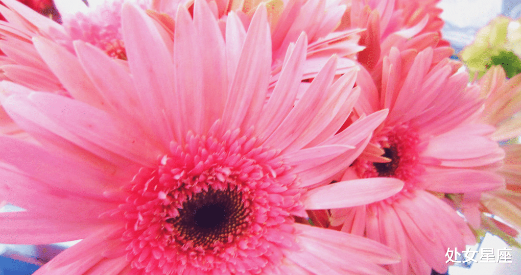 『吉星』天降3喜的3大生肖,财运亨通,财富不断找上门!