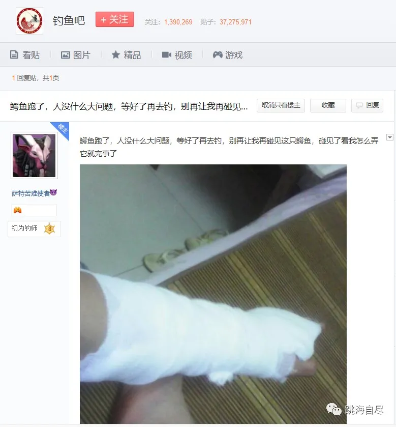 鲤鱼|一脸懵逼！全国各地的男人，为什么都喜欢钓鱼？