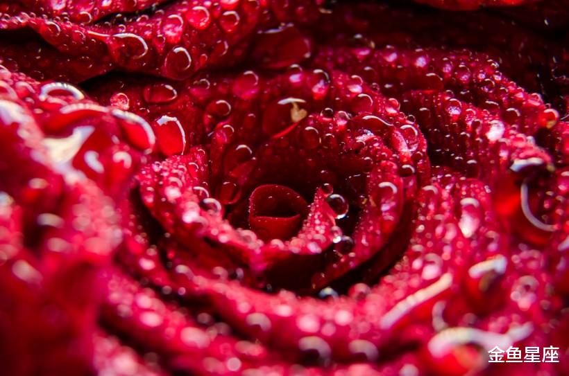 「生肖」2020年下半年抽到财运上上签的3生肖，财运满足，事业高升！